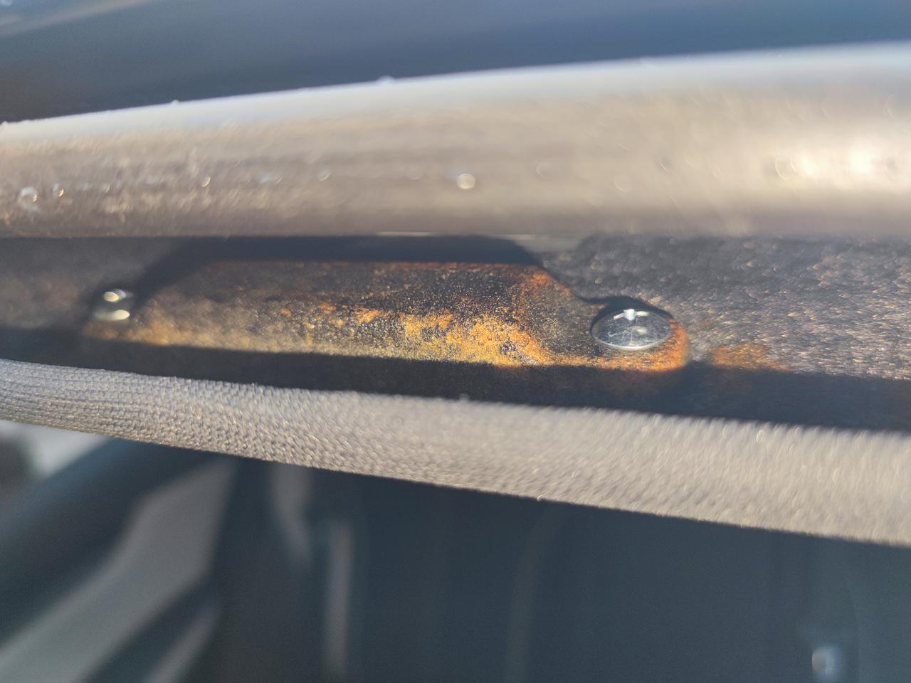 不只是我一个人发现了秦plus天窗晒焦