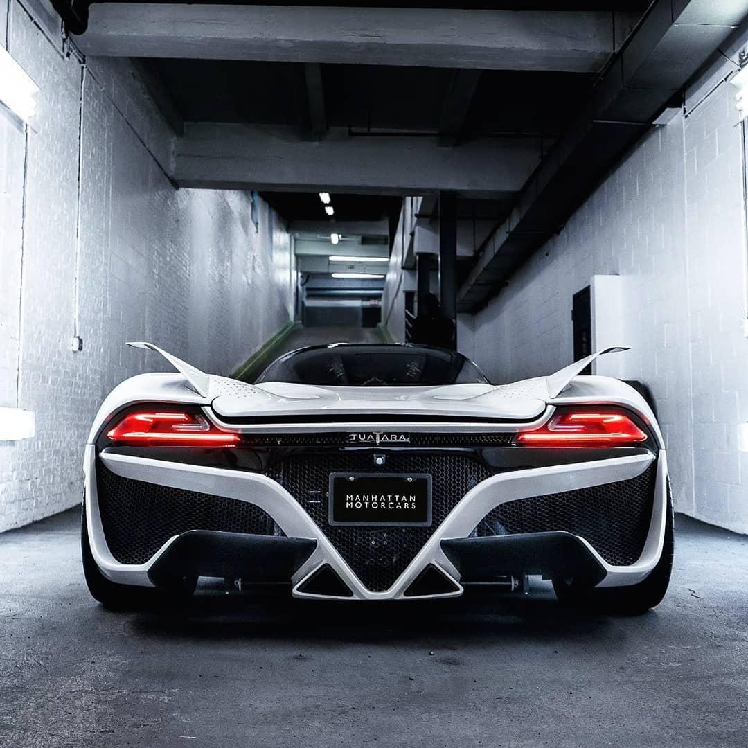 2020西贝尔大蜥蜴