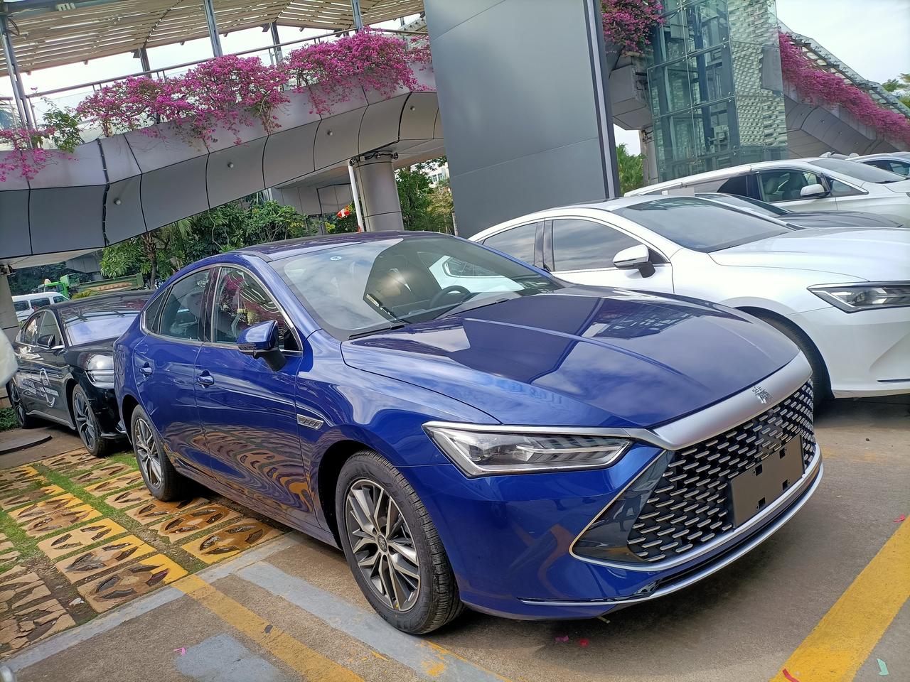 蓝色,秦plusdmi 现在定车年前提车_秦plus dm-i车友圈_懂车帝