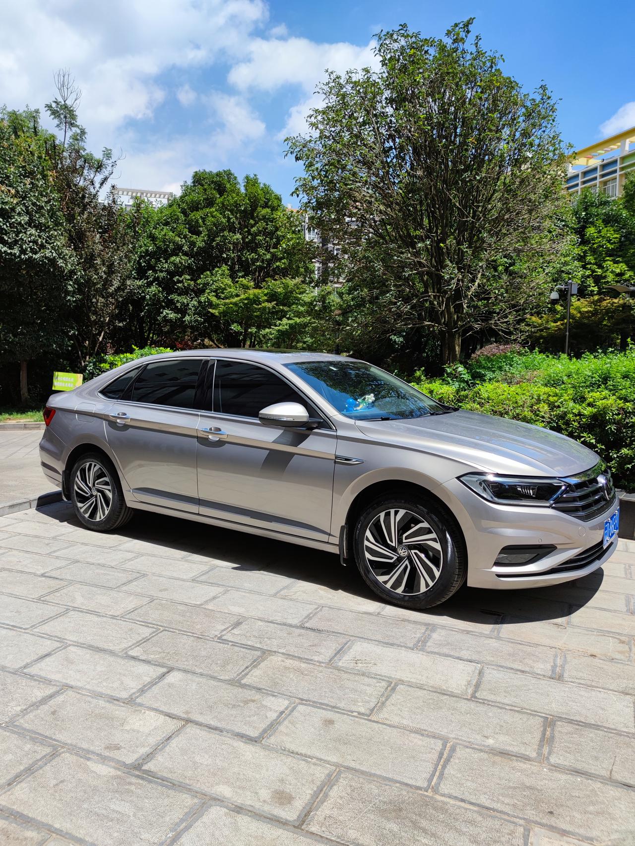 阳光下的海贝金分外漂亮