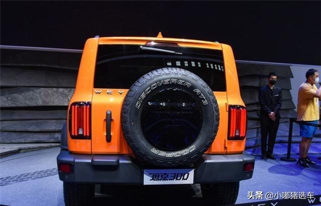 百分之1买得起大g的男人之外,其他的百分之99,都来到了长城t300这边