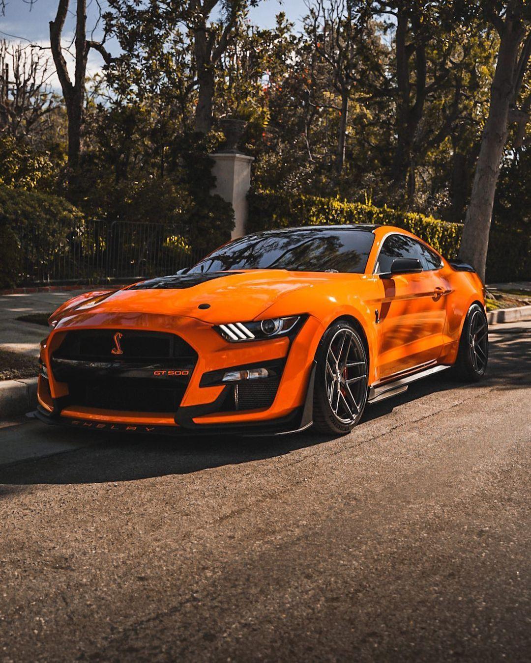 福特mustang眼镜蛇gt500