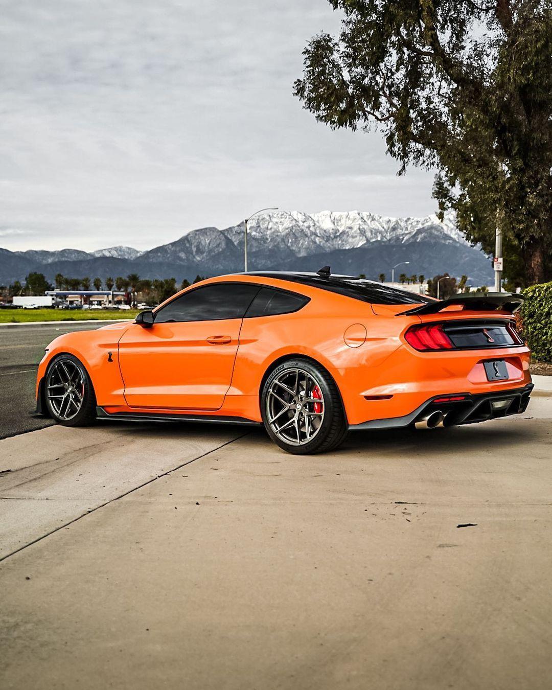 福特mustang眼镜蛇gt500