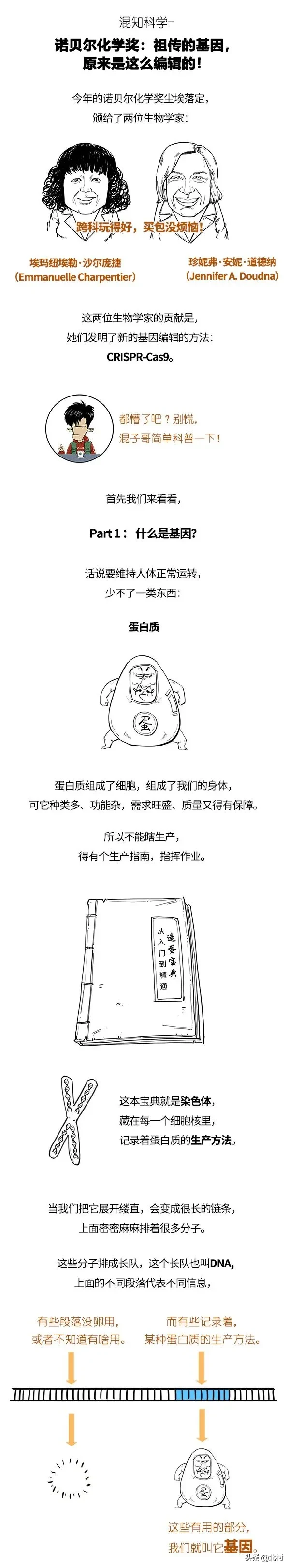 高一化学网课猿辅导资源