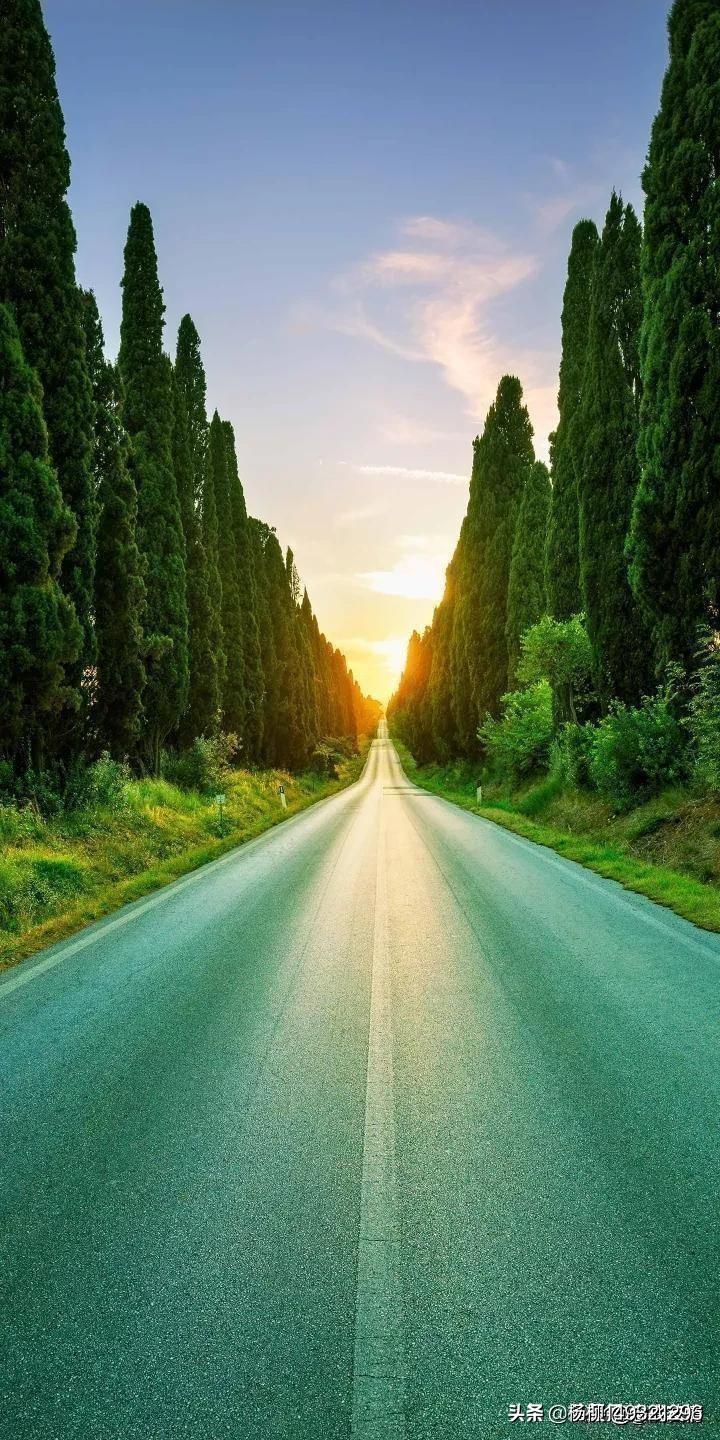 599201的头条主页 - 今日头条(www.toutiao.com)