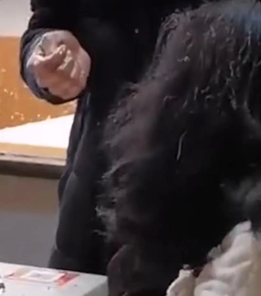 爆炸|顾客称吃烤鱼爆炸身上多处被烫伤 只烫了一个泡要索赔14.5万