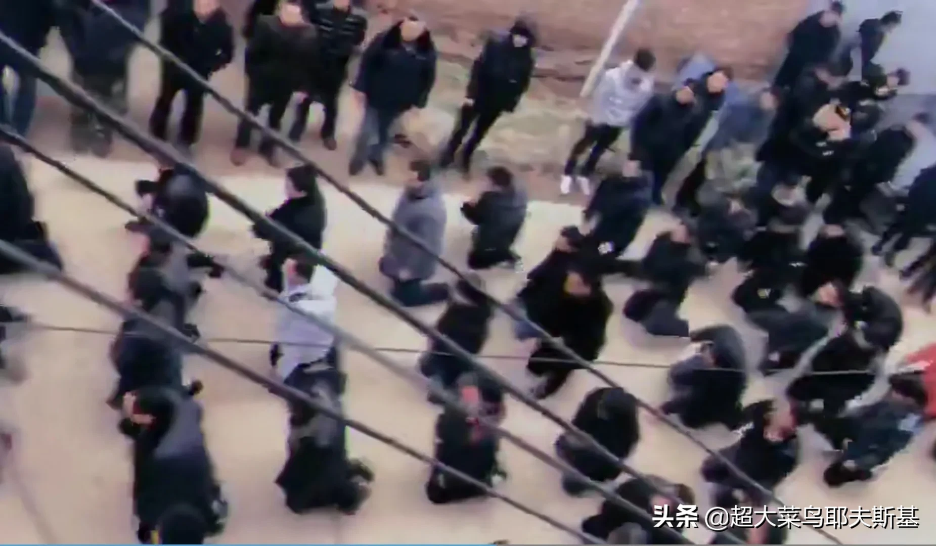 仪式|山东人拜年的仪式感 没有人拜年比山东人更认真