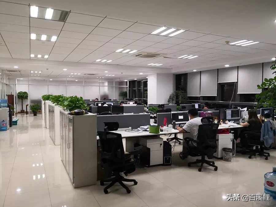 公司搞大了通常不赚钱