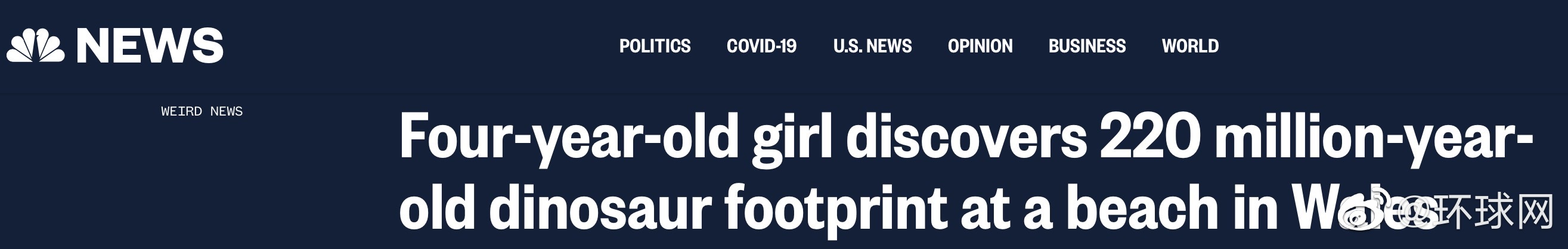 女童|英国4岁女童发现2亿年前恐龙脚印 专家惊叹不已