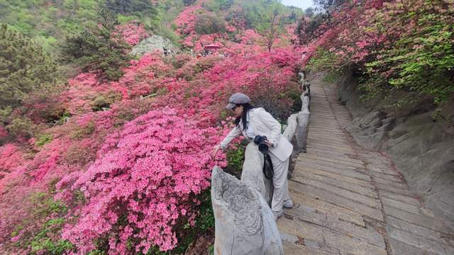 武汉春游踏青，黄陂云雾山赏杜鹃花海，登709米武汉之巅玻璃栈道