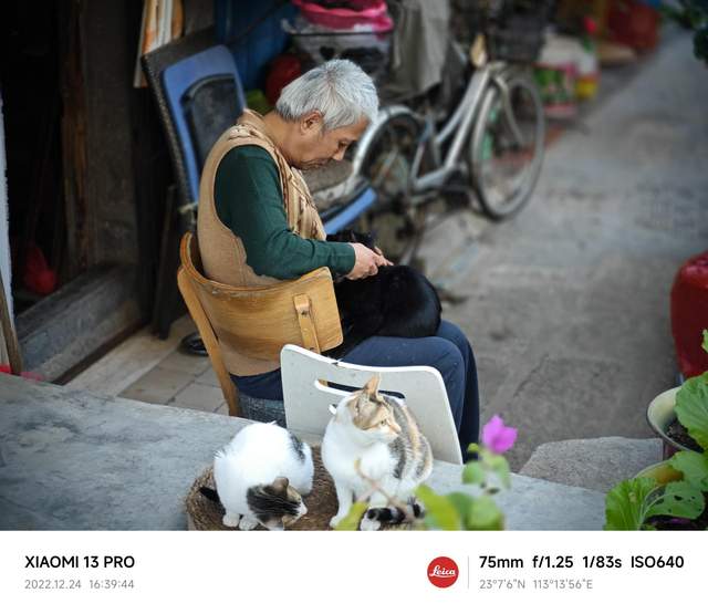 ȫ�����⿨��ͷ��ÿһ�� ����ζ��С��13 Pro����