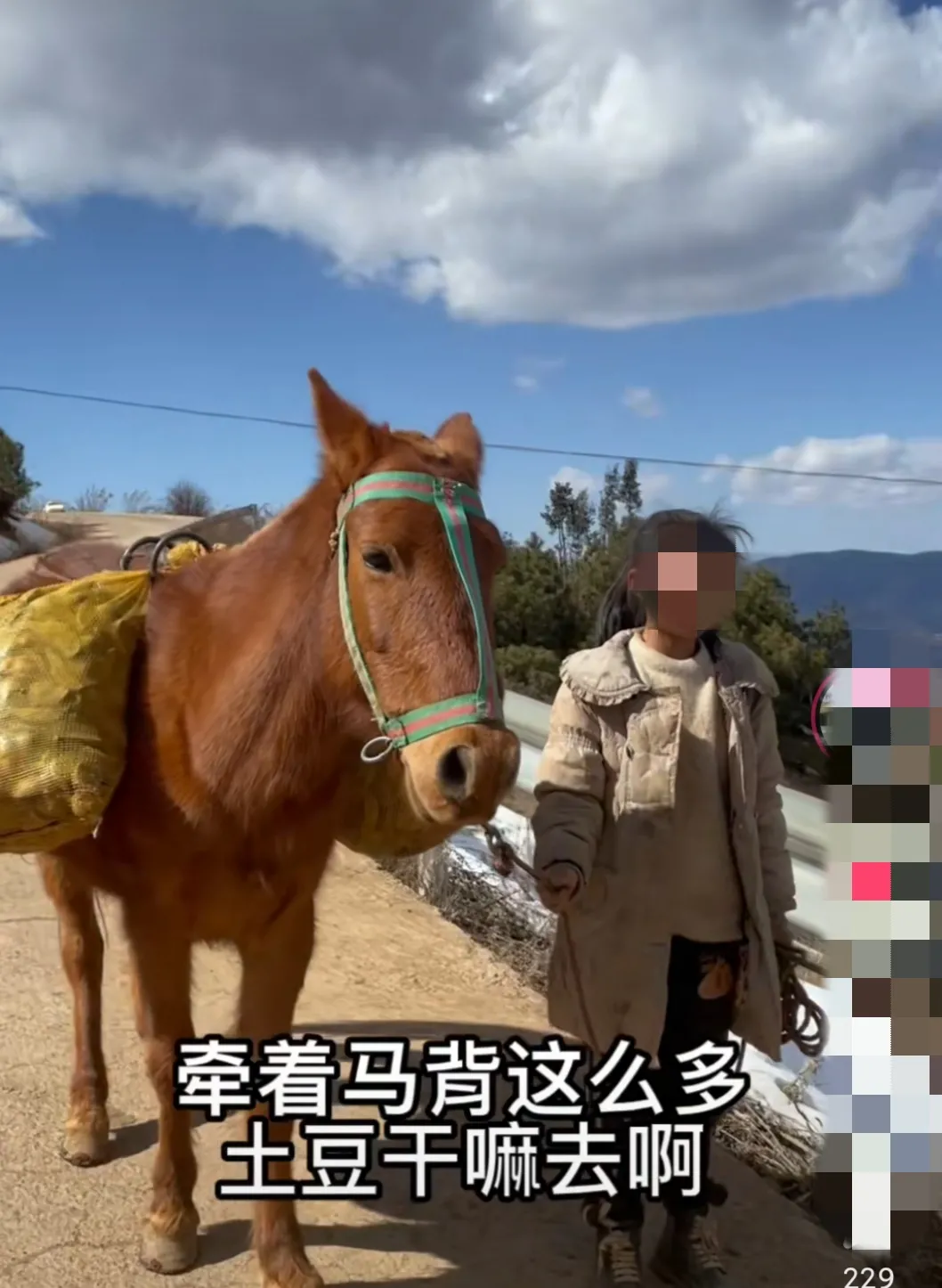 Horses for sex in Xuzhou