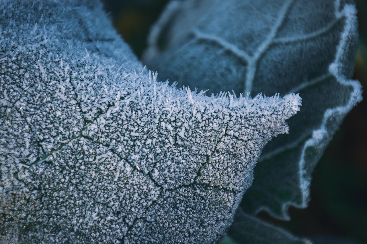 成都平原出现罕见的霜雪今天早晨成都平原温度降到零下大地被厚厚的霜