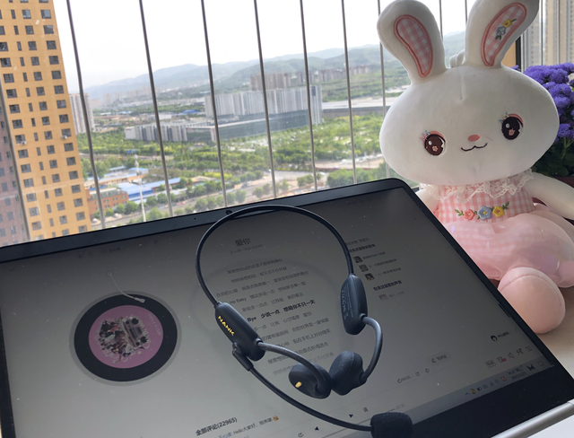 南卡Runner Comm骨传导耳机入手，有独立麦克风，还支持降噪通话