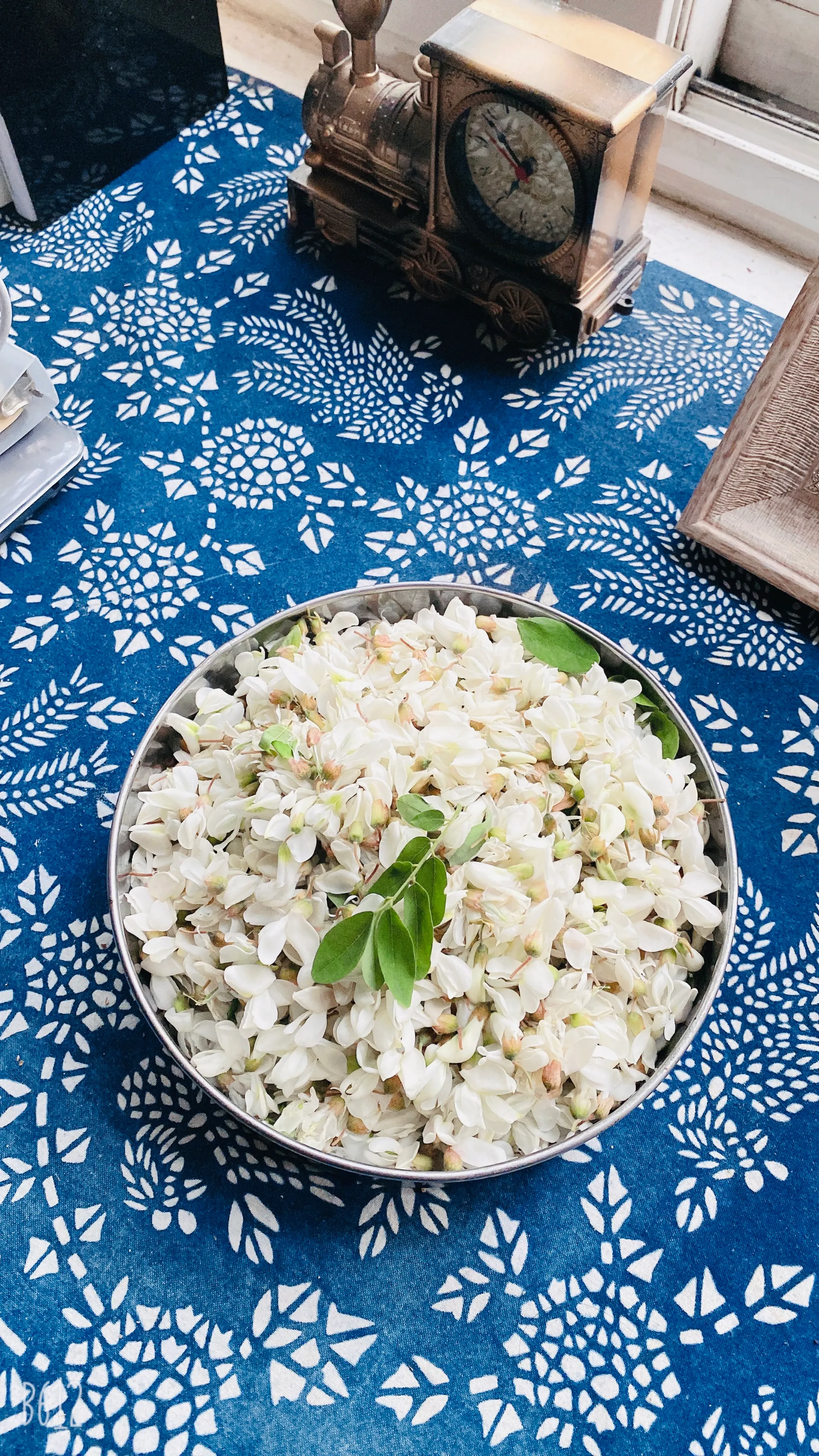五月槐花香 早餐烙了雞蛋槐花餅 午餐蒸了白面槐花飯 料汁兒是靈魂 晚餐熬了糯米槐花粥 白灼花盆裡剛摘的雞毛菜 涼血止血