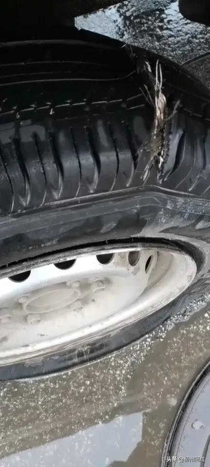 柳州一朋友的五菱新卡拉货途中轮胎爆胎了又没有备胎直接叫送了一个