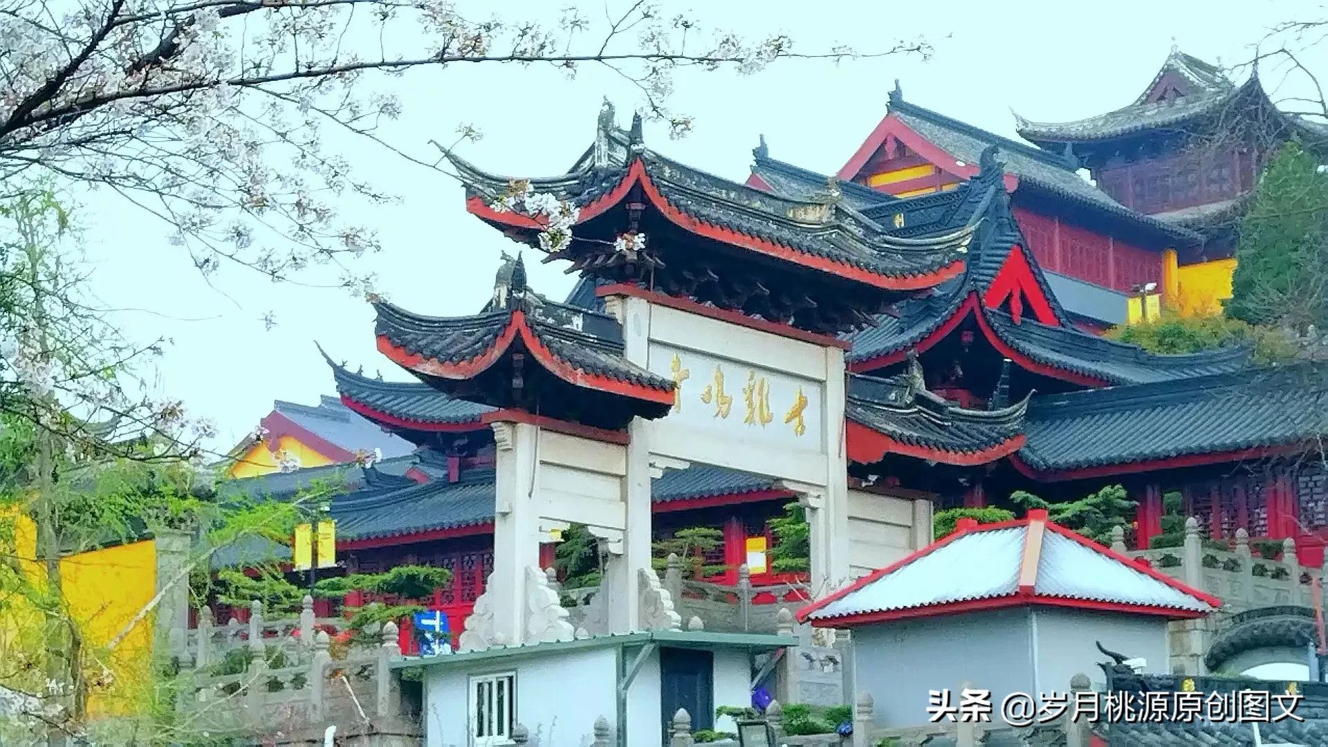 樱花雨：题金陵鸡鸣寺樱花 资讯消息 第5张