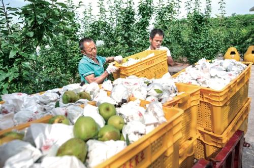 眉山川味火锅食材超市赚钱不