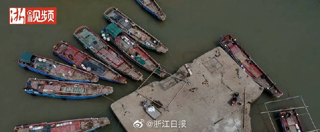 00后月入5000在舟山怎么样 00后独居男孩月入5000房租900的下班日记|麻酱水饺|姜撞奶