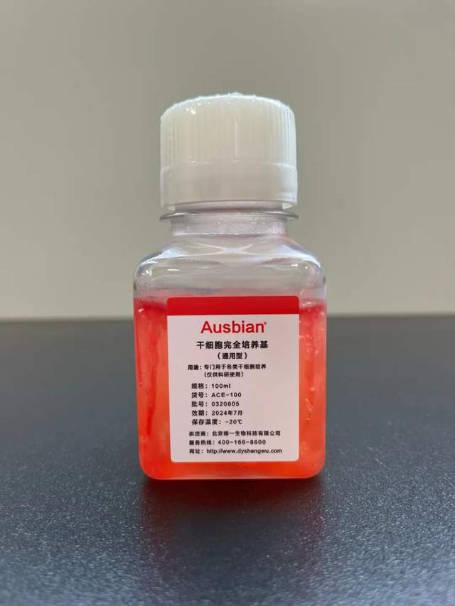 HGF——干细胞培养中的重要因子