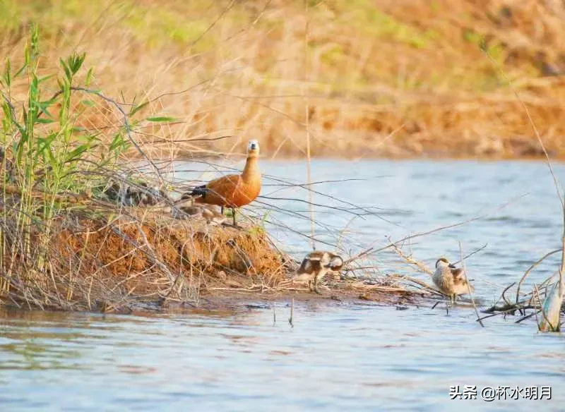 轻松 坐班月入7千 相机厂包吃住月入7千轻松坐班-花都兼职猫