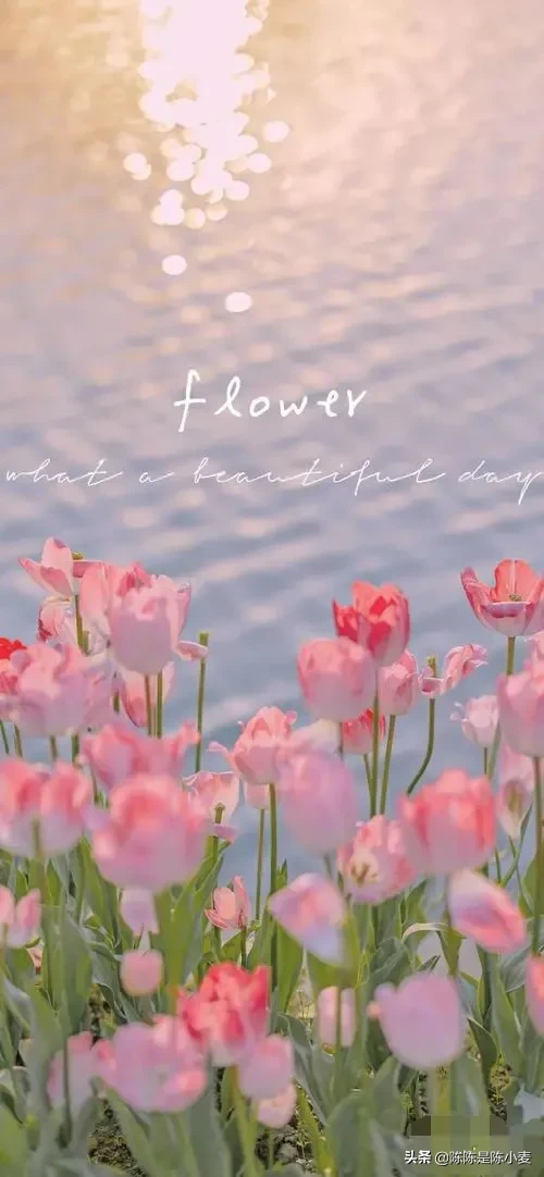 如何看待不上班也能赚钱