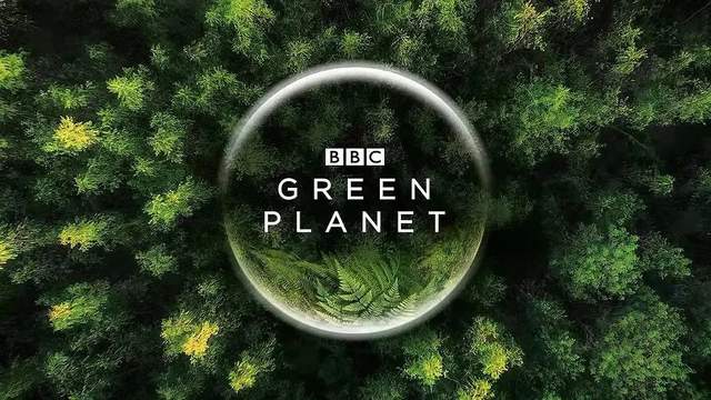 图片[1]-纪录片《绿色星球》：豆瓣9.8分，每一帧都惊艳-校汇学习课堂