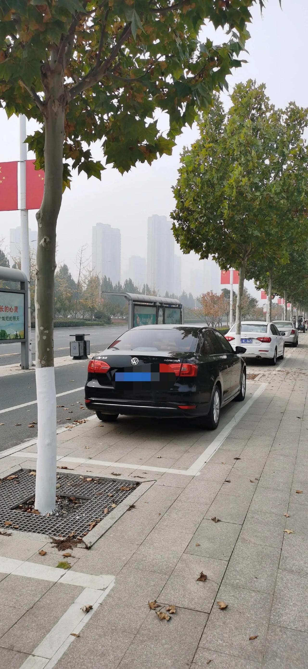 濮阳市市政人性管理停车区设在行道树之间人行道与道路路面持平方便