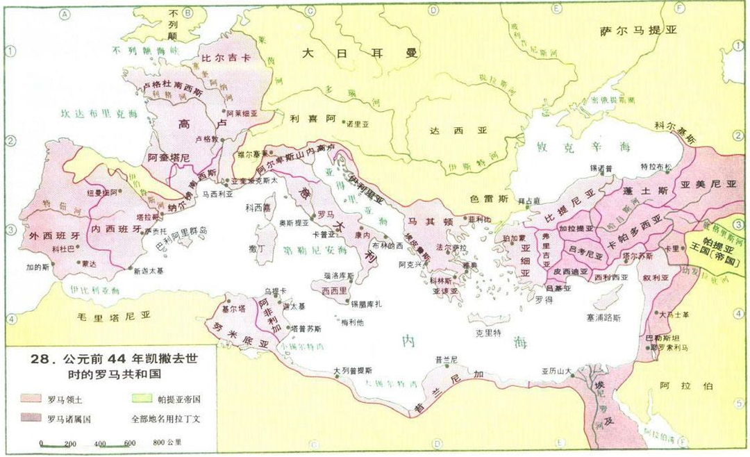 帕多尼正品