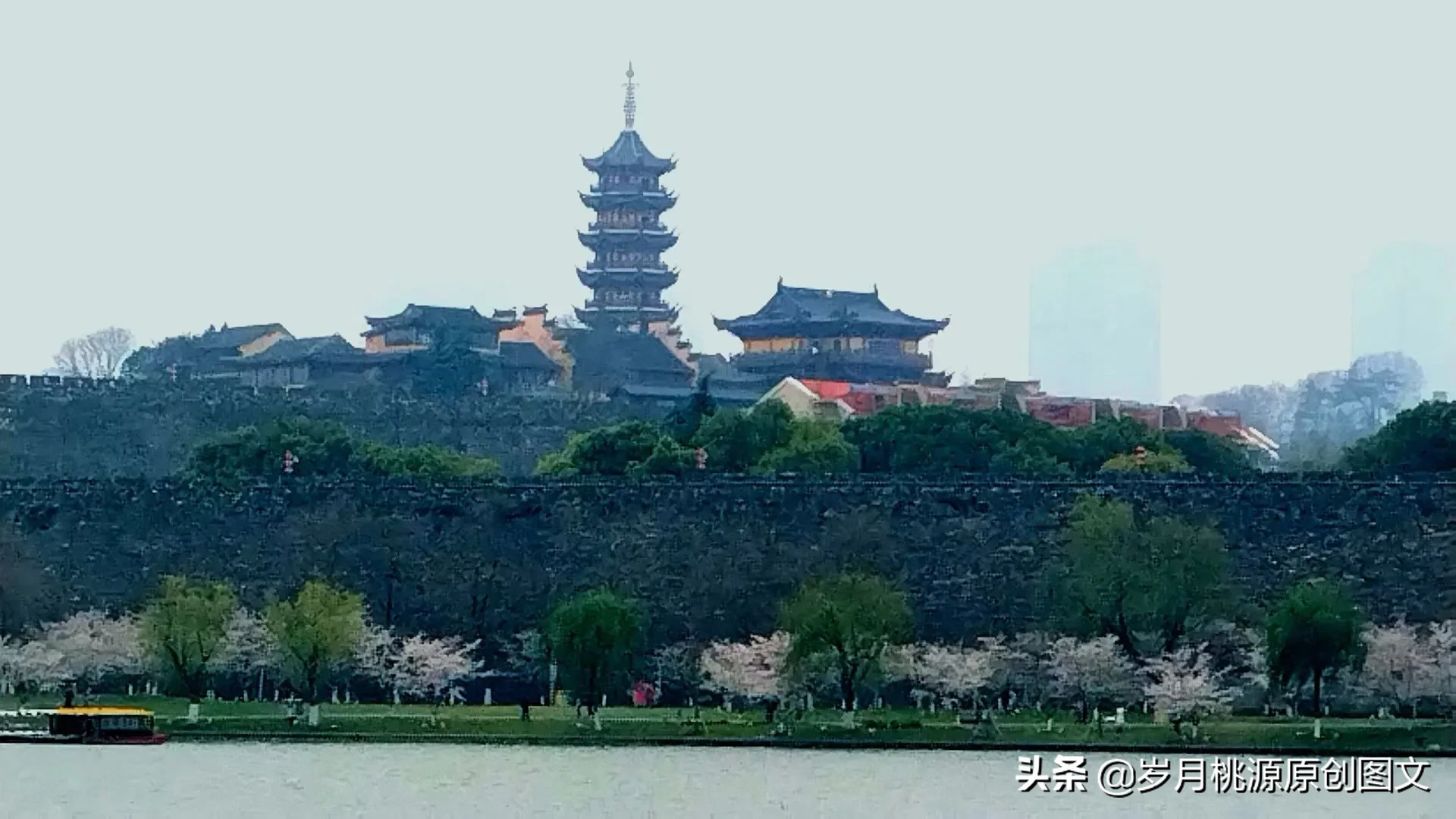 樱花雨：题金陵鸡鸣寺樱花 资讯消息 第7张