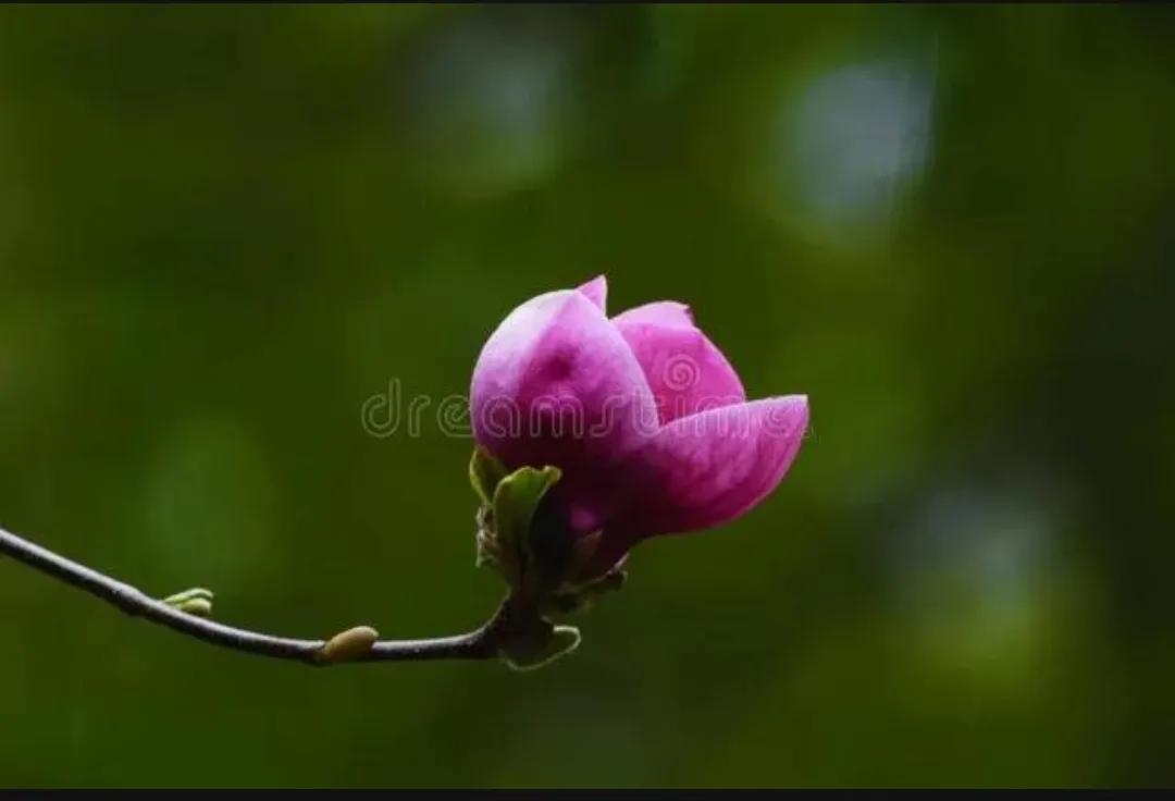 今日头条 今日头条