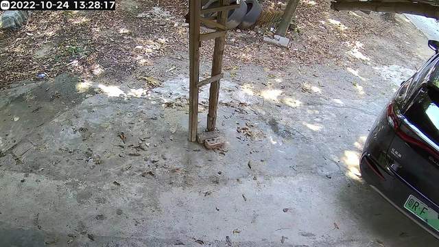 看护老屋，随时了解门口情况，小米室外摄像机AW300体验分享!