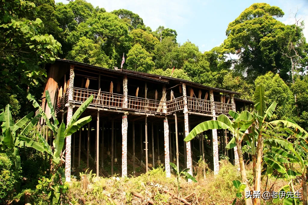 海外华人失散的兄弟婆罗洲猎头族达雅克人