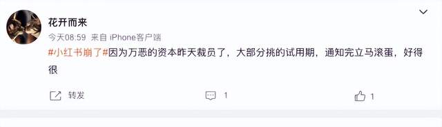 「上海疫情还没解封，我被小红书裁员了……」-锋巢网