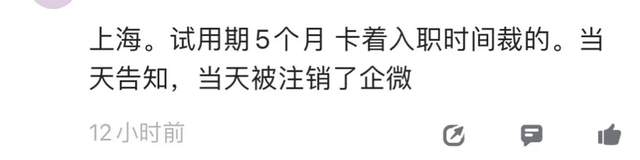 「上海疫情还没解封，我被小红书裁员了……」-锋巢网
