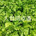 人世间点滴