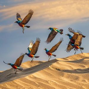 舍外扫落叶 头像