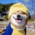 人生短短几个球m