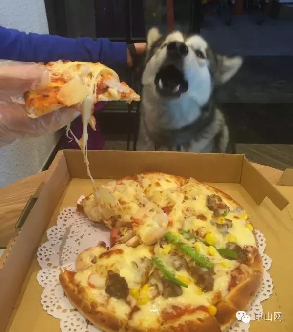 ��ɽ��ζ������˿��ƹ⣬����5����Ѱζ������ʳ�������ղ�