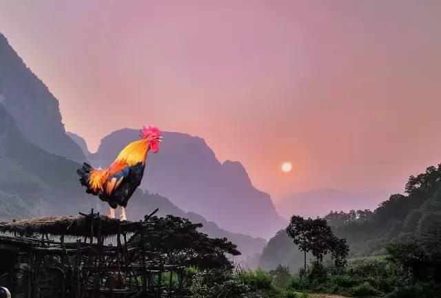 的角度讲,古人没有钟表,日出而作日入而息,对时间的把握,天亮就是标准