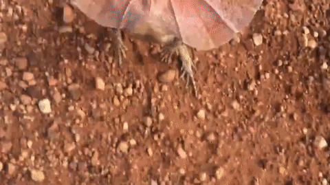 日头西坠，千家烟火风中飘荡