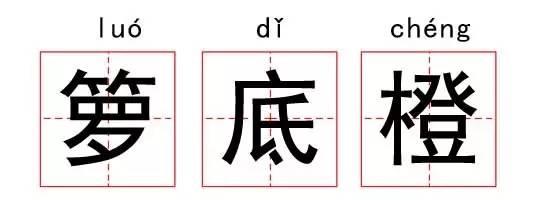 瓜娃子是什么意思