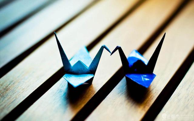 一品红娘全本在线阅读(一品红娘女主角叫什么)