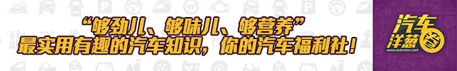 鸟屎能不能腐蚀车漆(鸟屎粘车上几天没事吧)
