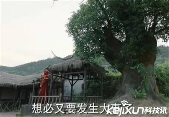 择天记黑袍是谁真实身份(择天记黑袍真实身份大揭秘)