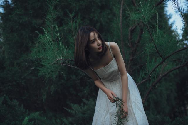 离婚后恋爱