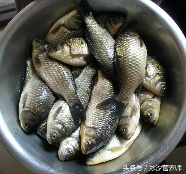 鲫鱼鱼鳞营养