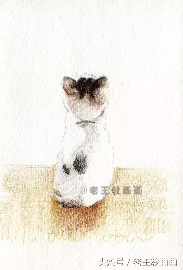 画小猫