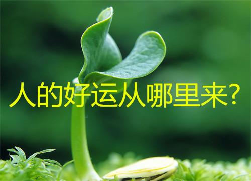 墓库运(墓库运是什么意思) - 天星聚