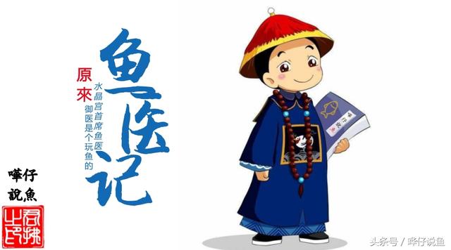斑马鱼